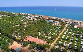 Albatross Mobile Homes On Camping El Pla De Mar